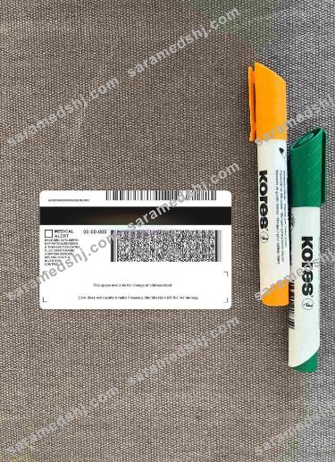 USA Michigan driving license under 21 photolook BACK
